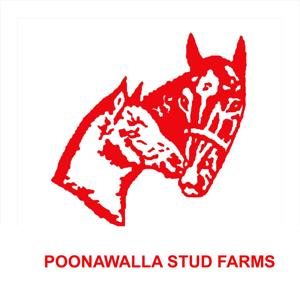 POONAWALLA-STUD-FARM