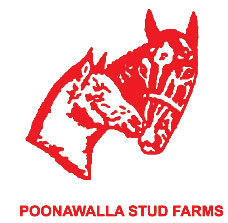 POONAWALLA-STUD-FARM