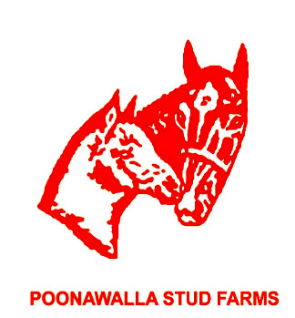 POONAWALLA-STUD-FARMS